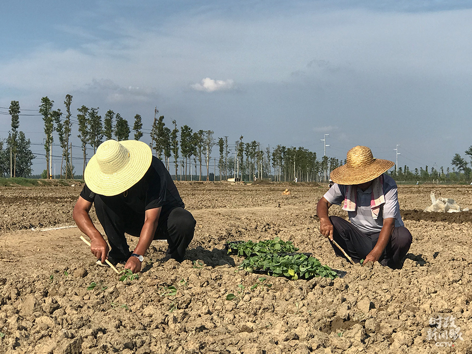 时政新闻眼丨​安徽之行，习近平为何先看淮河？