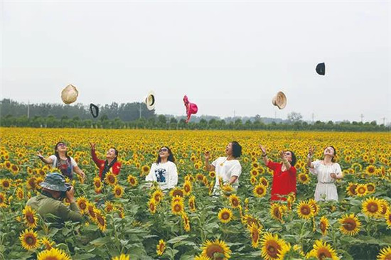 【B】河南宝丰：花开似海铺就致富小康路