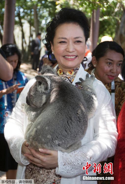 各国第一夫人参观考拉庇护所