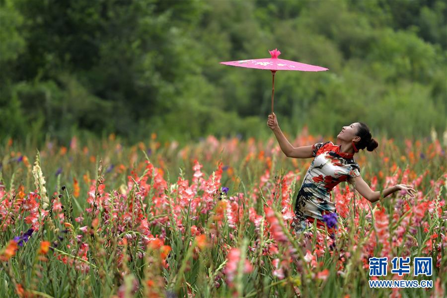 花海旗袍秀风韵