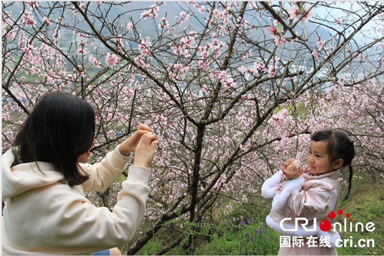 六盘水：百车河畔花飘香