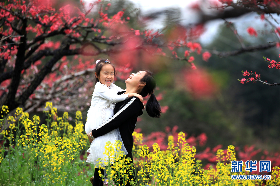 广东连平：三月春来早 十里桃花香