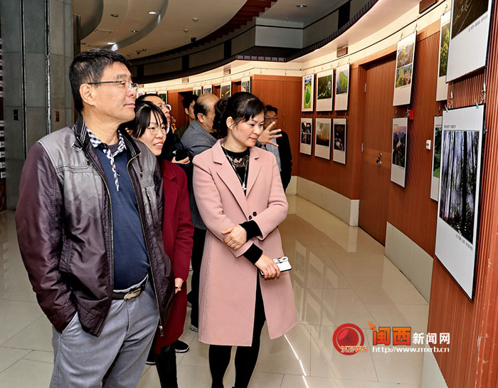 “绿水青山看龙岩”全省摄影大赛作品展在龙岩市博物馆展出