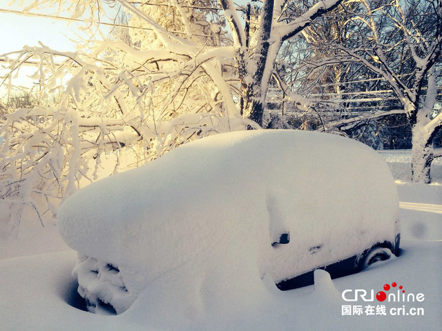 美国纽约州遭暴风雪袭击