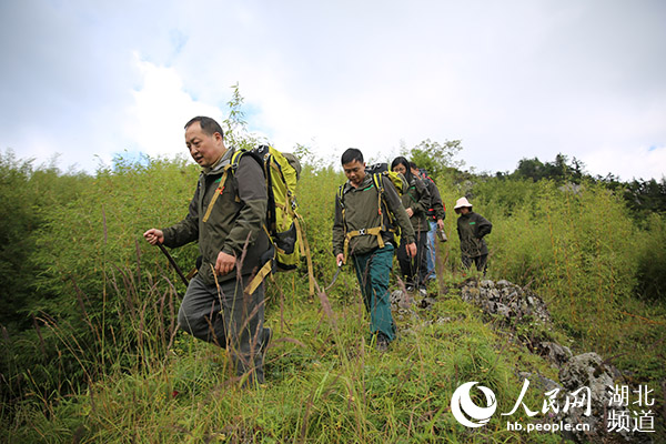 绿水青山间传来生态回响——神农架“进退”之间“焕”新颜