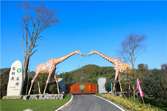 （有修改）（B 文旅列表 移动版）湖州长颈鹿庄园邀请江苏游客体验和谐之旅