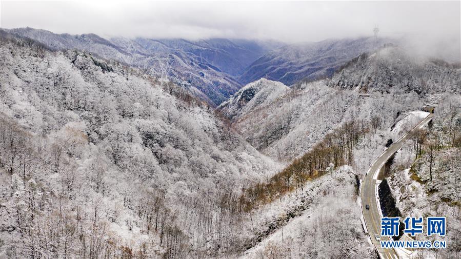 秦岭初雪