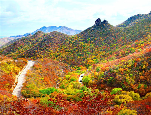 “相约北票 畅游黑山”文旅推介会在沈阳举行_fororder_微信图片_20200822182128