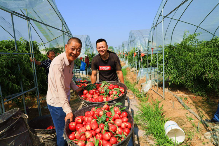 【有修改】陕西汉中：勠力同心拔穷根 砥砺前行奔小康