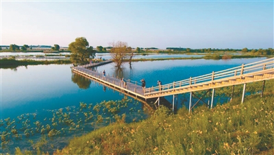 辽河湿地 旅游大道