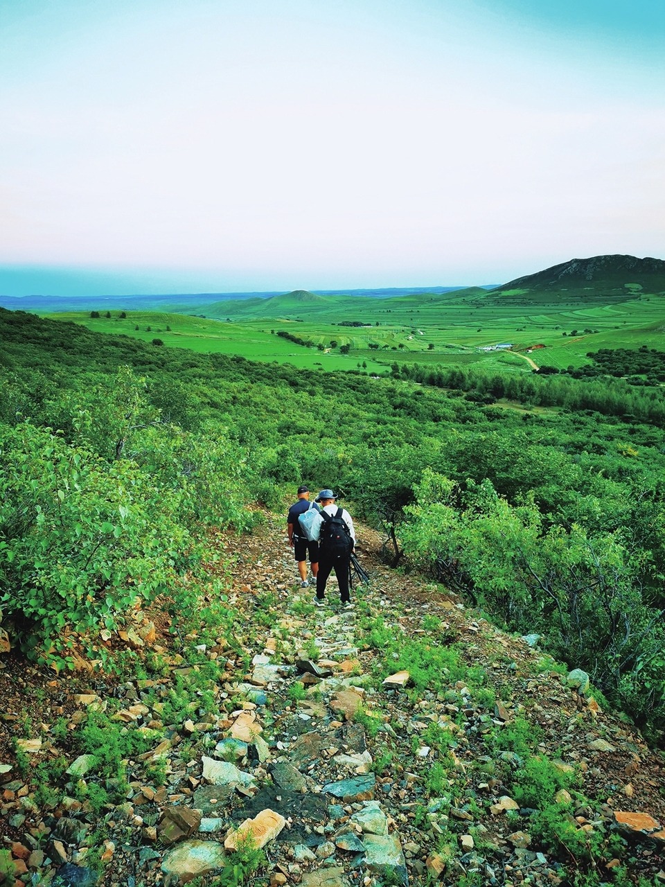 白城：民房变民宿 山区变景区