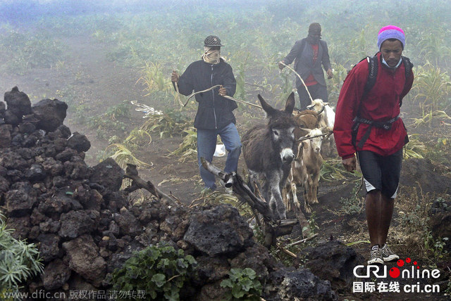 佛得角福古火山沉寂近20年后首次喷发