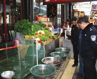 峨眉山现世界级珍惜动物 餐馆当成蛙鱼卖给食客