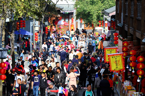 夷陵菊花展人气火爆 开幕三天游客量逾27万