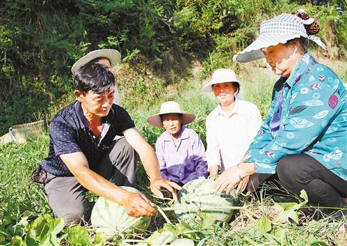 【区县联动】【梁平】梁平李兴平带领69户村民种瓜脱贫