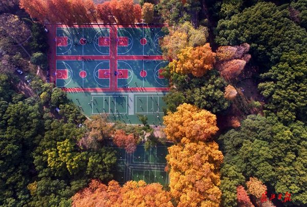 图集：武大迎来125岁生日 秋色撩人正当时