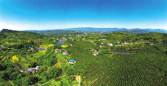 【城市远洋】重庆北碚：建画里乡村 留梦里乡愁