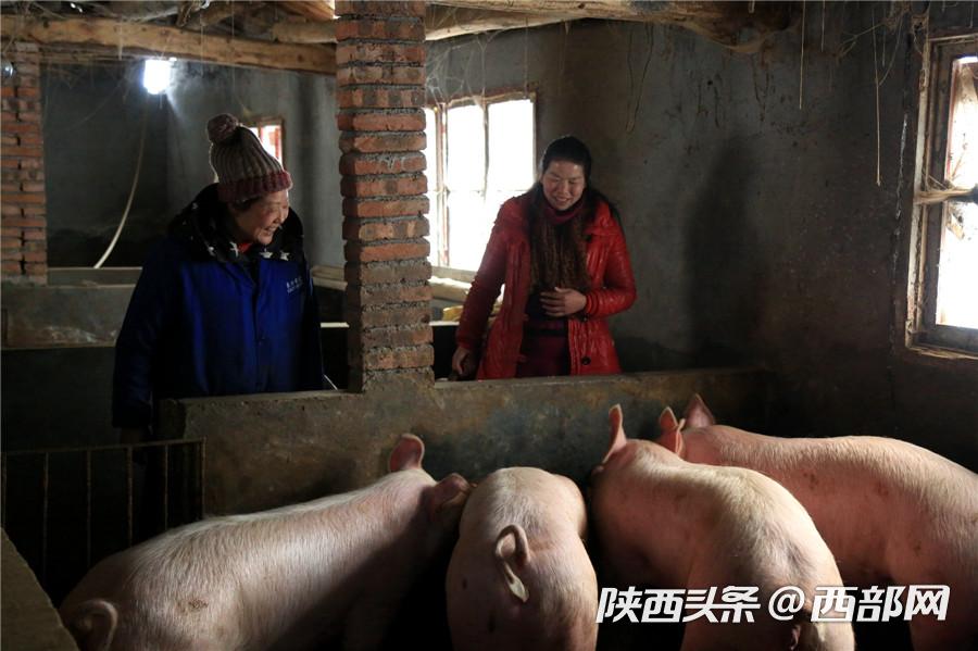 "腊肉女王"高安秀：腊肉厂是父亲半生心血 一定要做红火