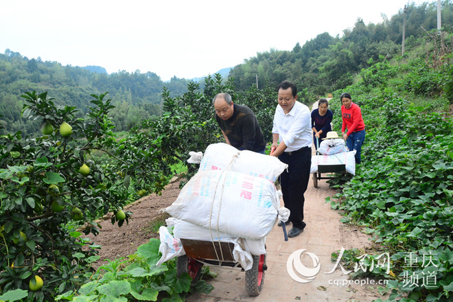 【区县联动】【梁平】梁平：复平镇蔬菜增收农户脱贫有新途径