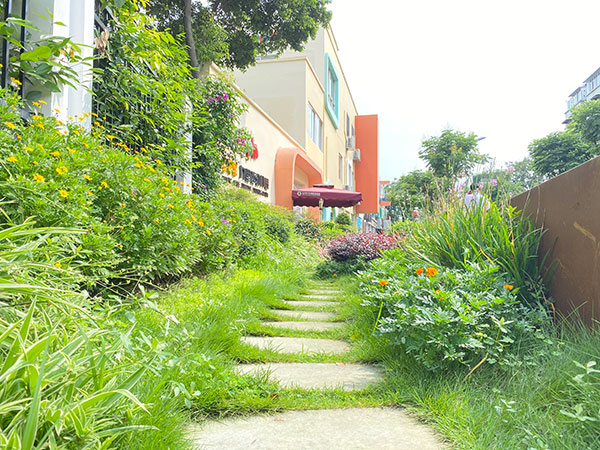 "Most Beautiful Streets" Improving the Environment of Street Blocks in Chengdu, China