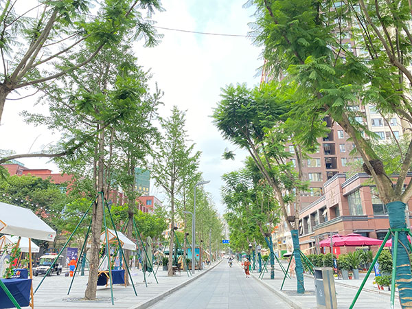 "Most Beautiful Streets" Improving the Environment of Street Blocks in Chengdu, China