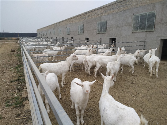 渭南全力建设关中平原城市群次核心城市