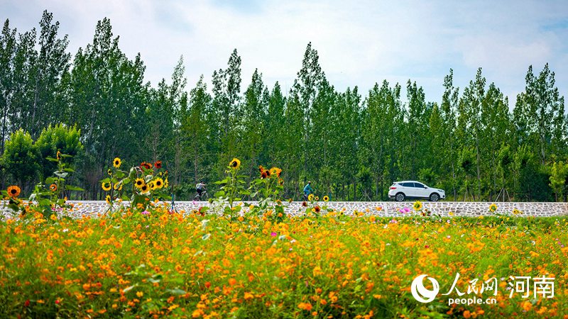 【城市远洋】河南三门峡：筑牢黄河生态屏障