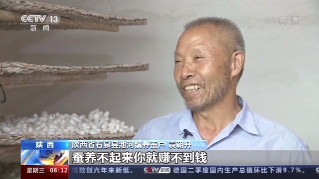 奔小康有“丝”路！陕西石泉养蚕兴桑