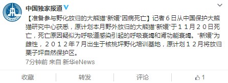 雌性大熊猫“新媛”因病死亡 原计划本月野化放归