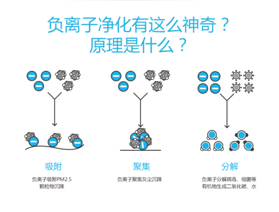 CoClean出镜《将改革进行到底》，空气净化器的变革之路