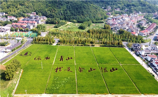 （有修改）（B 焦点图轮播 Chinanews带图列表 移动版）浙江传媒学院学子争做“绿水青山就是金山银山”理念传承人