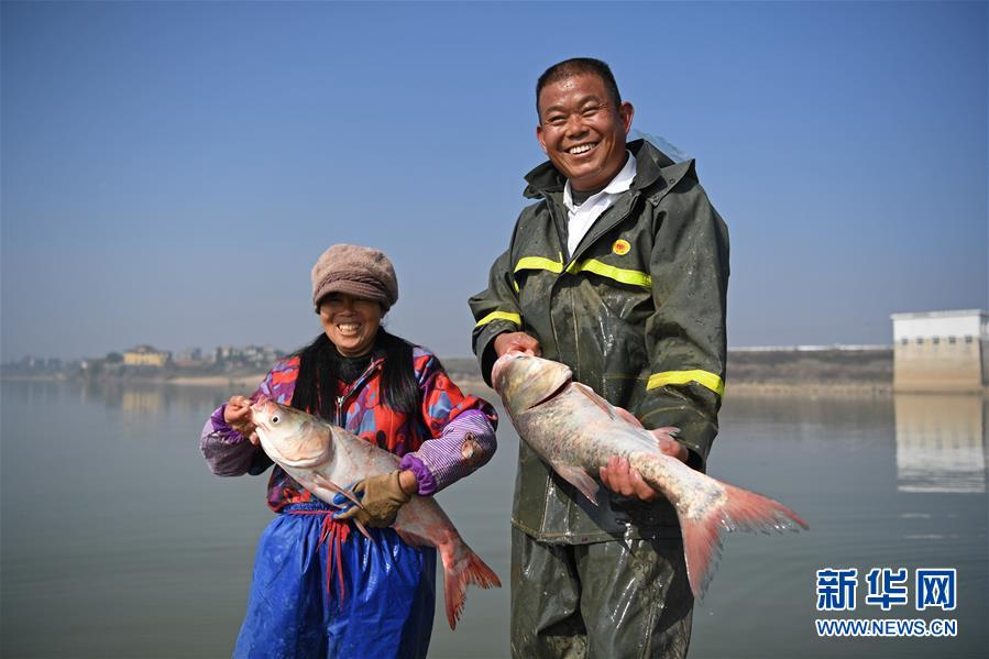 鄱阳湖：人欢鱼跃冬捕忙