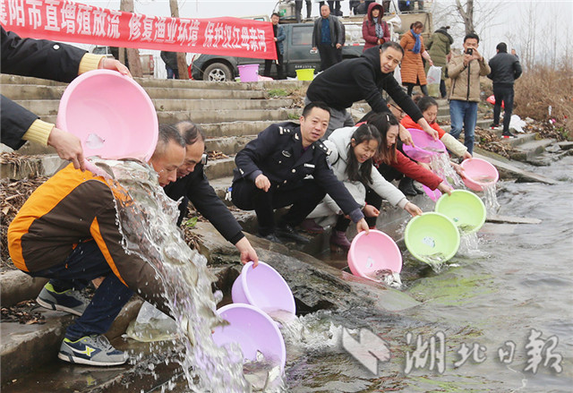 汉江增殖放流2100万尾鱼苗