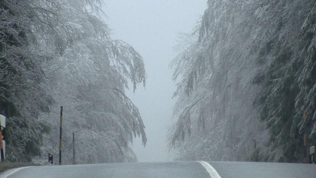 德国全境普降大雪 路面湿滑致事故频发