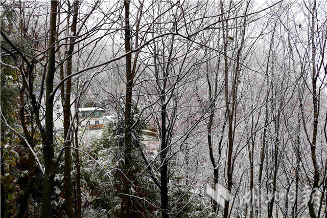 保康降下今秋首场降雪