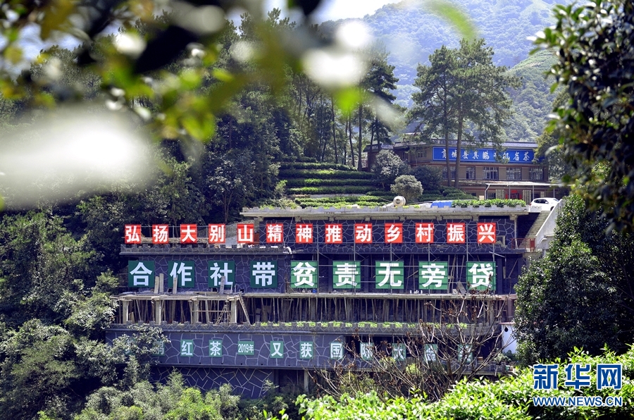 【城市远洋】河南商城：擦亮红色老区底牌 走出绿色发展路子