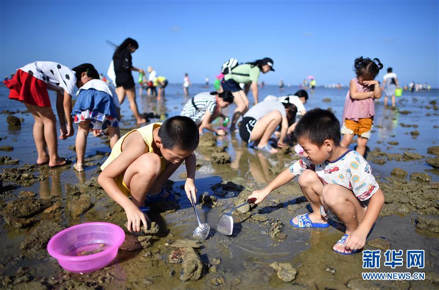 海南：拾贝抓蟹体验赶海