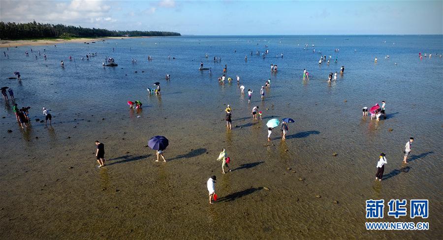 海南：拾贝抓蟹体验赶海