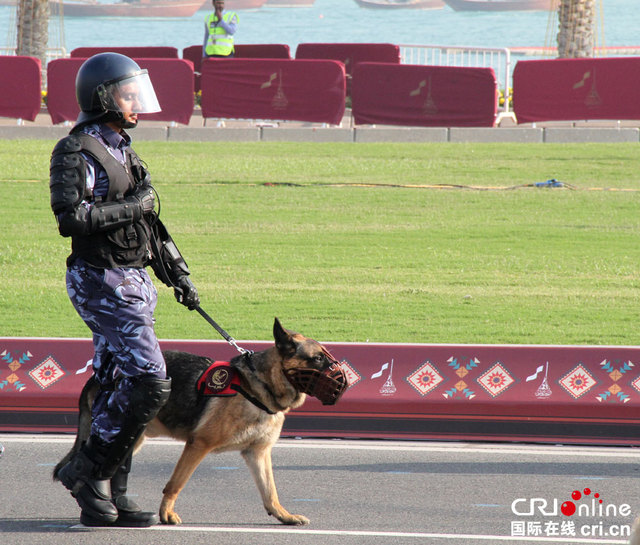 卡塔尔举行国庆阅兵 骆驼骑兵和儿童方阵引关注