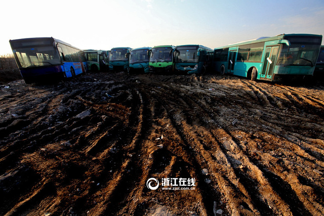 杭州惊现公交车"坟场"