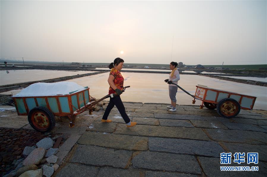 福建泉州：百年盐场的繁忙伏收季