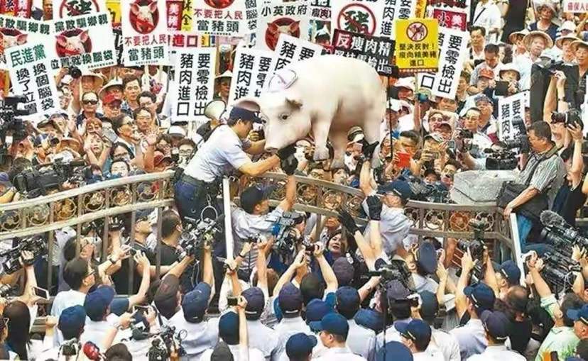 民进党“美猪”政策急转弯 台网友：换位子就换脑袋