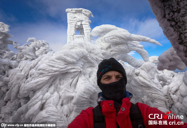 摄影师捕捉暴风雪过后树木结冰景象 造型各异鬼斧神工