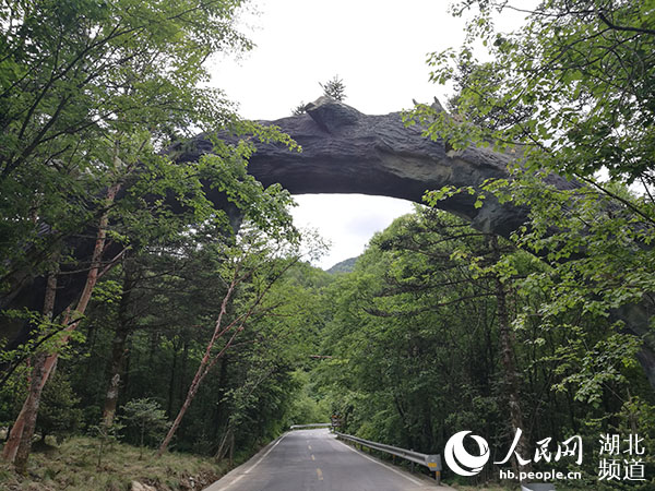 绿水青山间传来生态回响——神农架“进退”之间“焕”新颜