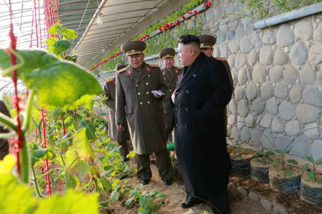 金正恩视察蔬菜大棚 称赞立体种菜高水平