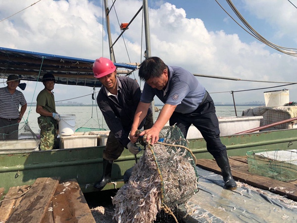 9月1日太湖开捕