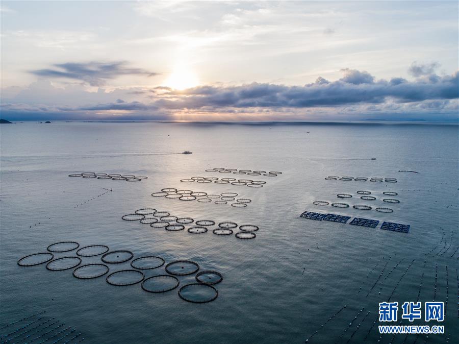 打造高质量发展的强劲引擎——从区域协调发展看奋进中国的发展新空间