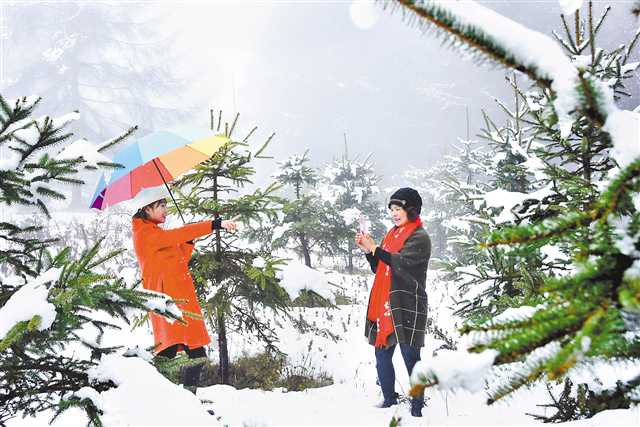 【区县联动】【巫山】巫山下雪了