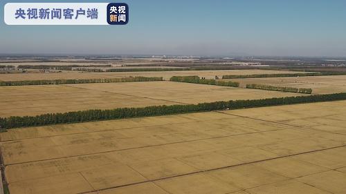 丰收北大荒 中华大粮仓 十大网红大地号等您来“打卡”