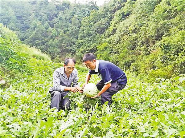 【砥砺奋进的5年】全镇最穷老土村为何变“洋”了？